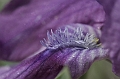 Resize of _MG_0637